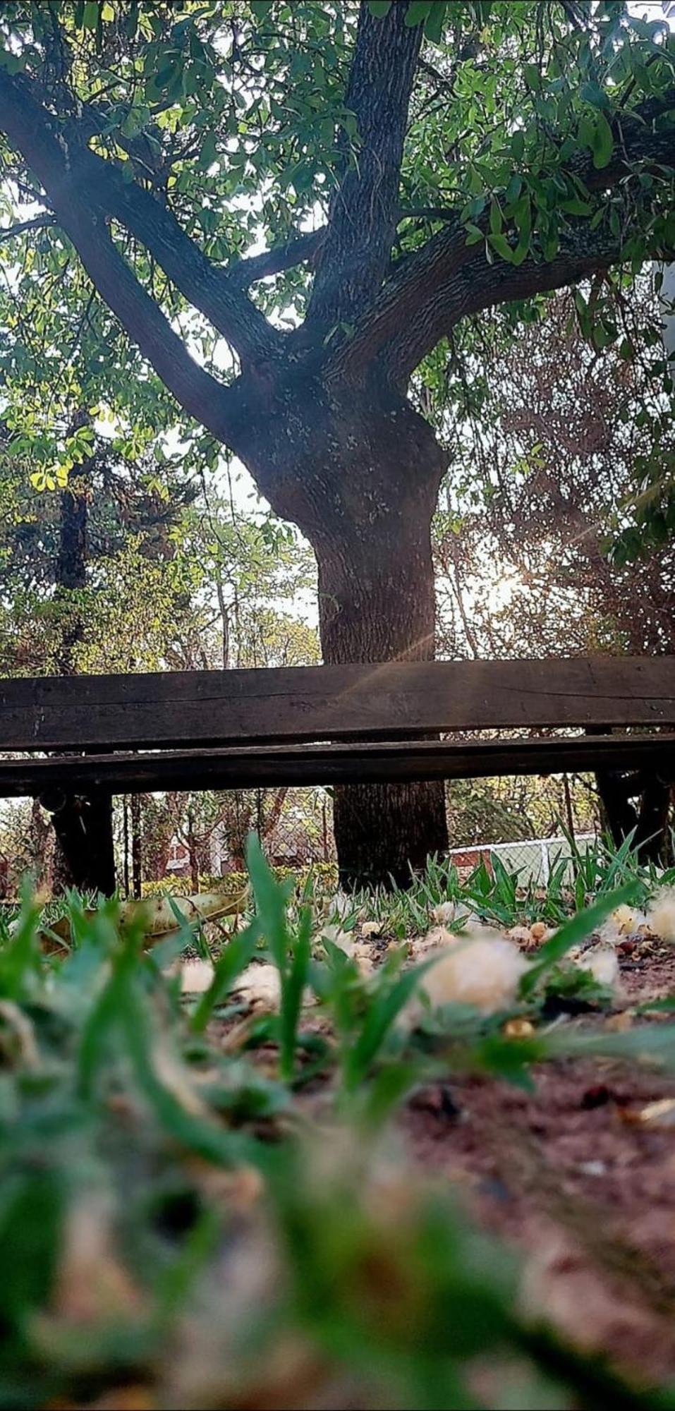 Pousada Chacara Kioski โบรตัส ภายนอก รูปภาพ